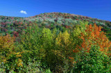 Autumn Colors on Sugar Creek Hillside tb1009upx.jpg