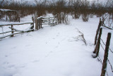 Kuzuluk an Snow 043.jpg