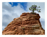 Zion National Park