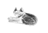 CatByLexy