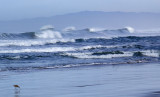 Monterey Bay