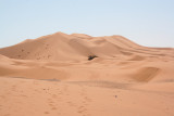 Erg Chebbi is where the real Sahara Desert starts at the village of Merzouga.  In Arabic, the word erg means dune.