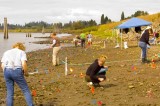 Sauvie Island Archaelogical Dig   - 2007