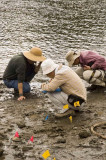 Sauvie Island Archaelogical Dig   - 2007