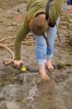 Sauvie Island Archaelogical Dig   - 2007