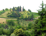 51 Tuscany-Chianti Vineyard.JPG