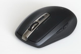 Mouse (37030)