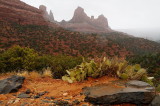 Rainy Morning on Schnebly Road - 4
