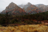 Rainy Morning on Schnebly Road -2