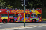 WCS1046.jpg