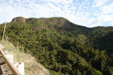 Typical Waitakere Ranges scene from Whatipu Rd 8814