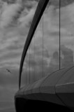 Calatravas Bridge