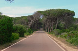 Caprera Road