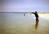 Don Miller