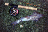 Squid on fly!