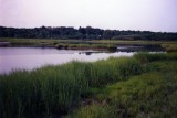 Flax Pond