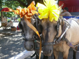 Decorated Horses