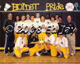 Men's Volleyball 2008
