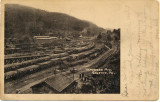 Galeton Trainyard & hardwood mill