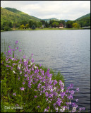 Berger Lake