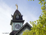 Courthouse & maple