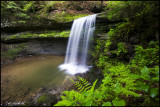 Campbell Run Falls #1