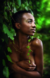 sharri 1