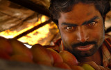 apple vendor