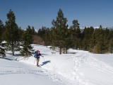 South Fork Trail