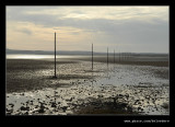 Causeway #3, Holy Island, Northumberland