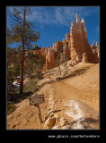 Bryce Canyon #20, UT