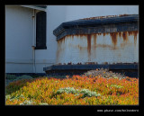 Pigeon Point Light Station #13, Davenport, CA