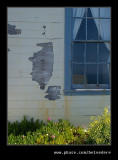 Pigeon Point Light Station #16, Davenport, CA