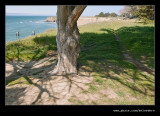 Clifftop Walk #04, Davenport, CA