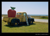 Swanton Berry Farm #04, Davenport, CA