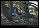 Whalers Cabin #01, Point Lobos, CA