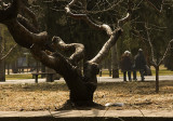 Resting in the Park
