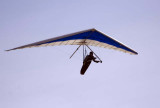 paragliders_r49.jpg