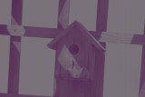 Birdie House