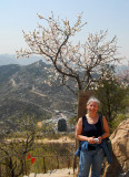 Spring at the Great Wall - My friend Anne