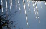 Icicles in the sun