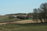 Alberta farm scene