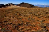 Dirt Road with a View