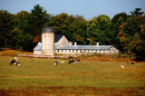 Pennsylvania Farmland