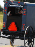 Shy Ways of the Amish