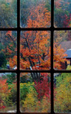 Thru the Window... Autumn Colors