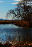 Water in the Desert