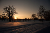 sunset over the golf course