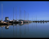 IMG_3747.jpg