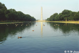 Capitol & Washington Monument, Washington D. C.